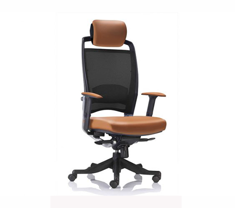 Executive Ergonomic Office Chairs